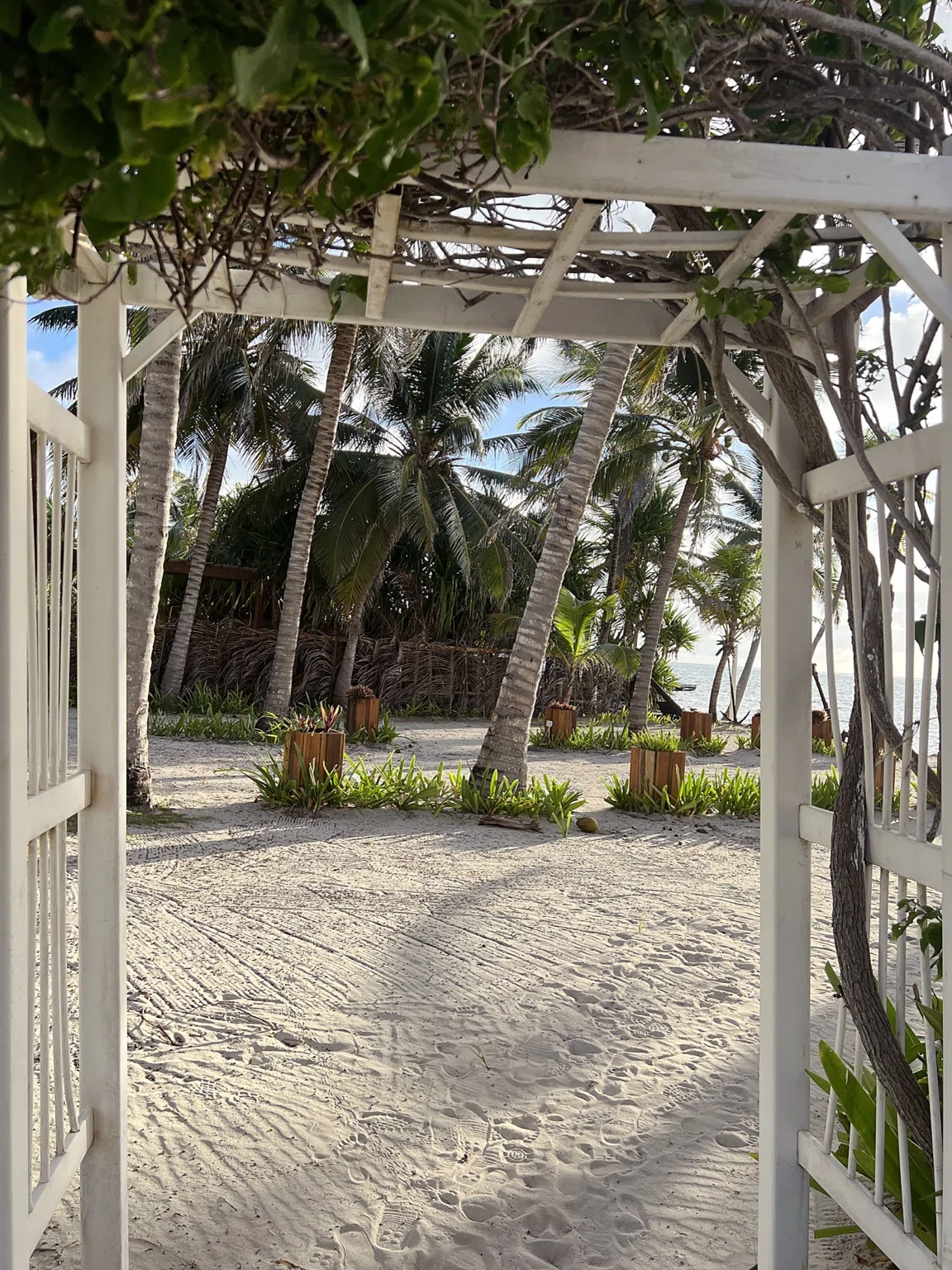 Las Terrazas Resort at golden hour