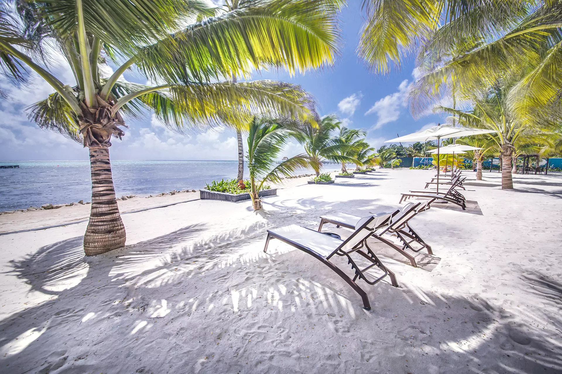 Beach Front Villa